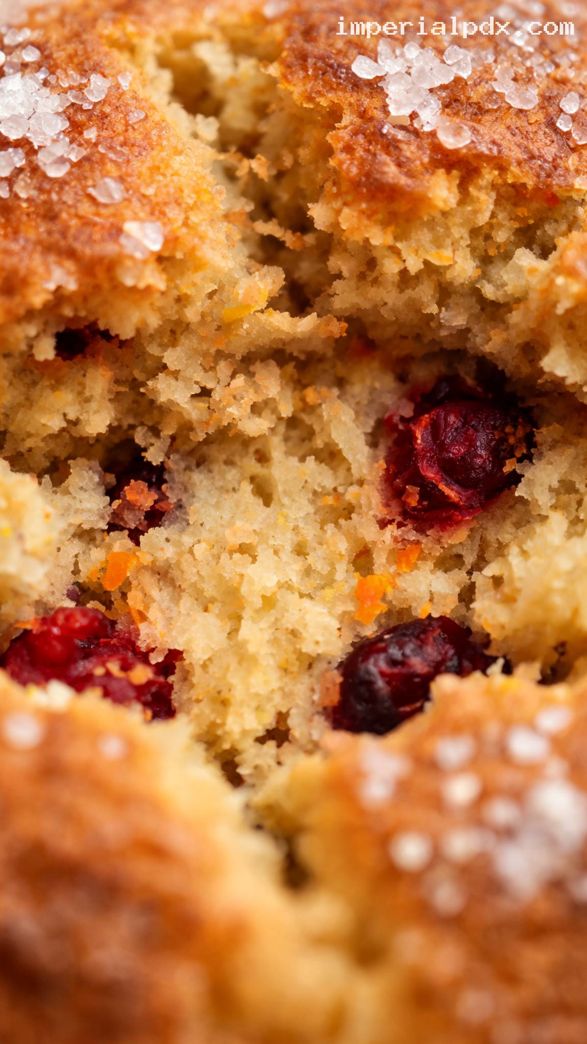 Easy Bakery-Style Cranberry Orange Muffins – Closeup