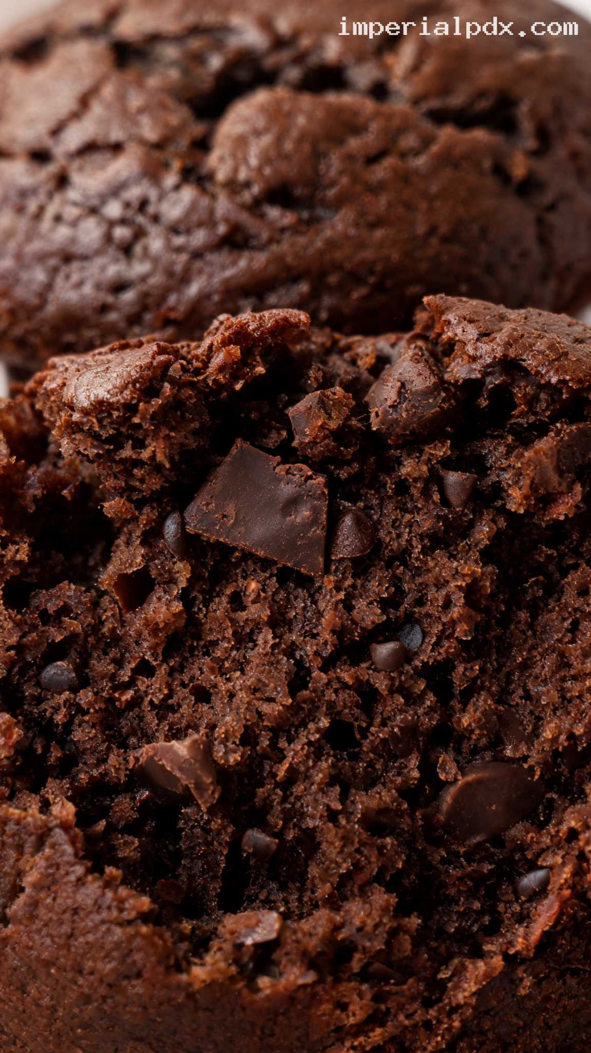 Fudgy Bakery-Style Double Chocolate Muffins – Closeup
