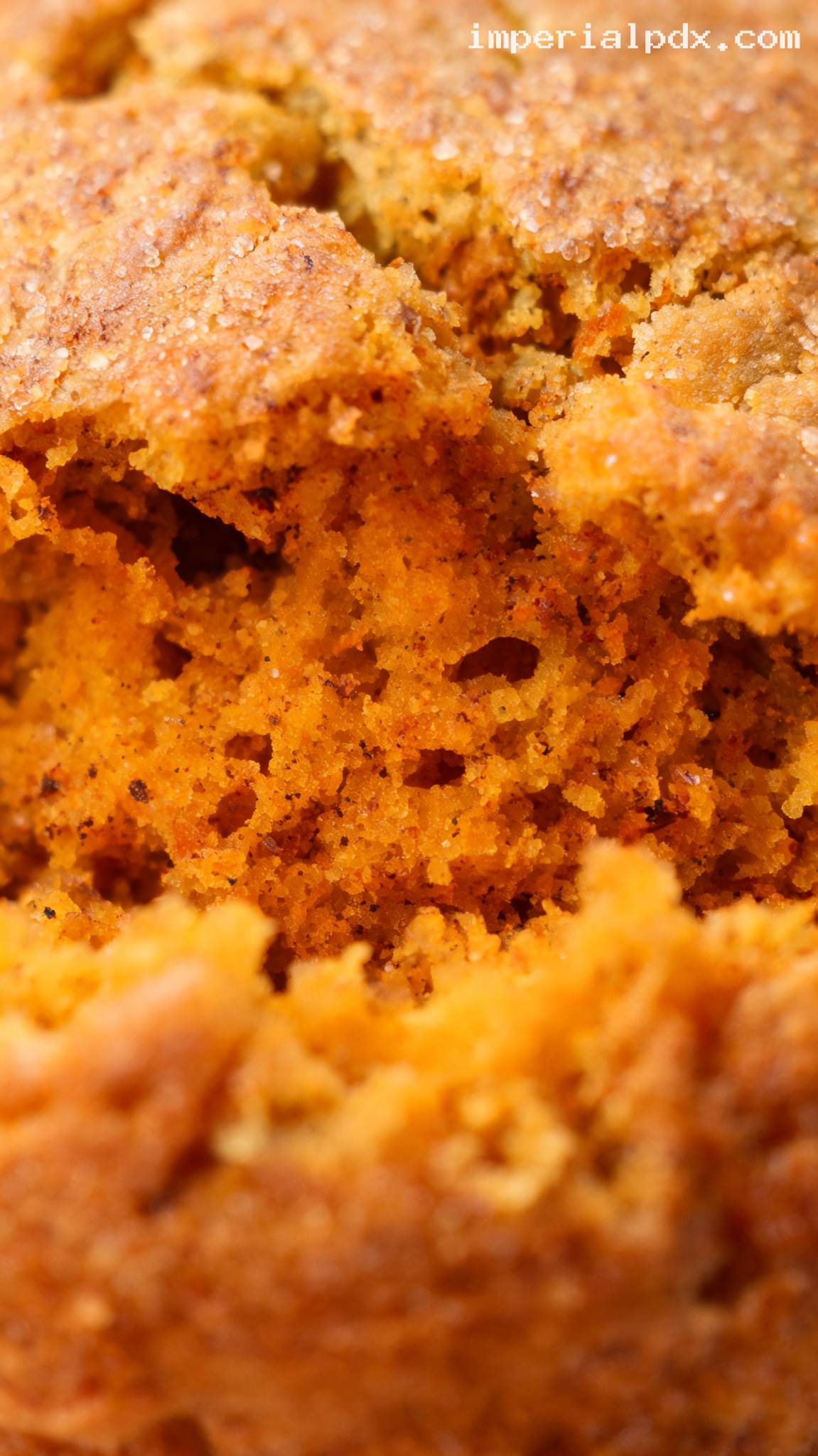 Soft and Cozy Pumpkin Spice Muffins – Closeup