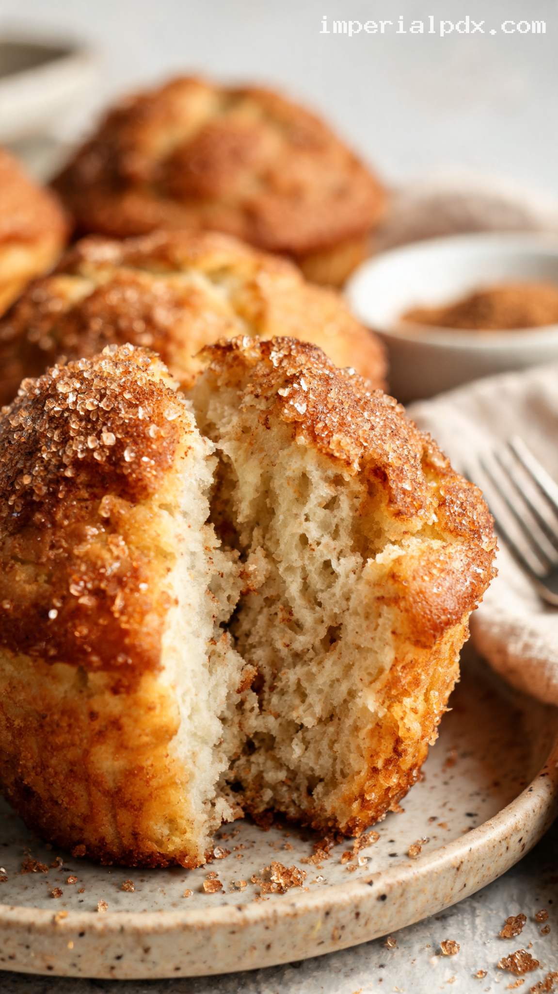 Cinnamon Sugar Muffins With Crackly Tops – Closeup