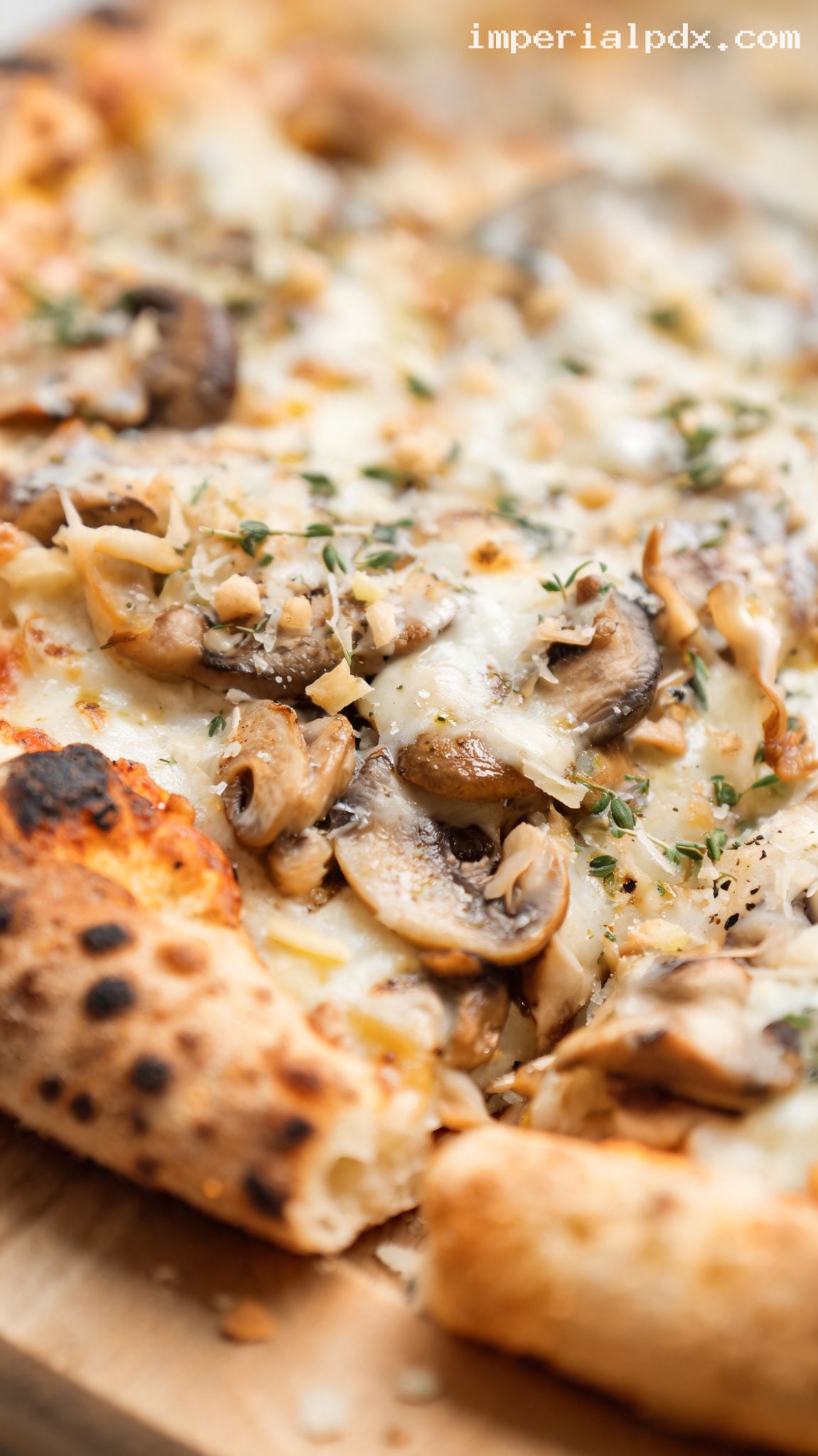 Mixed Mushroom Pizza With Truffle Oil – Closeup