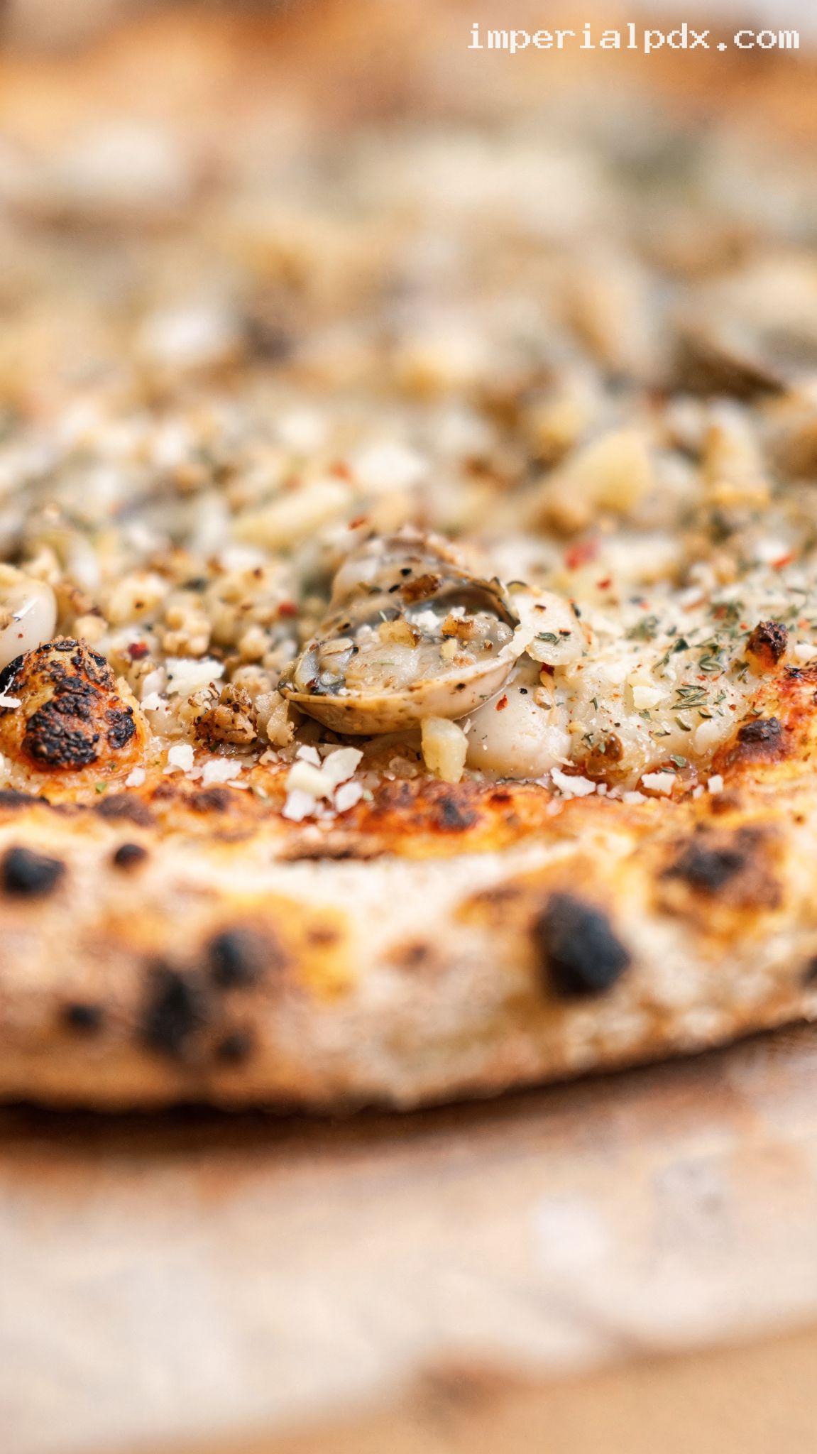 New Haven White Clam Pizza – Closeup