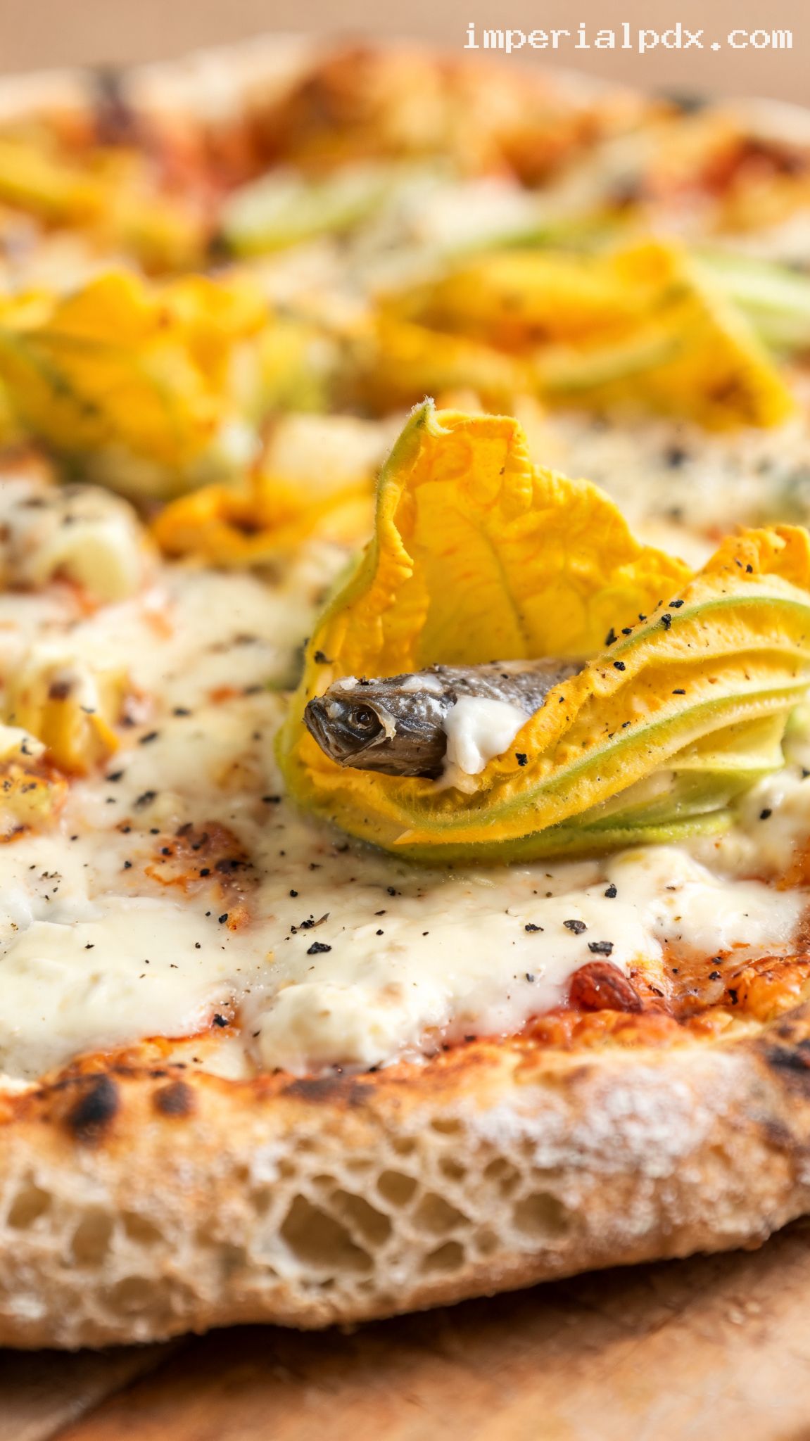 Pizza Romana With Stuffed Zucchini Flowers – Closeup
