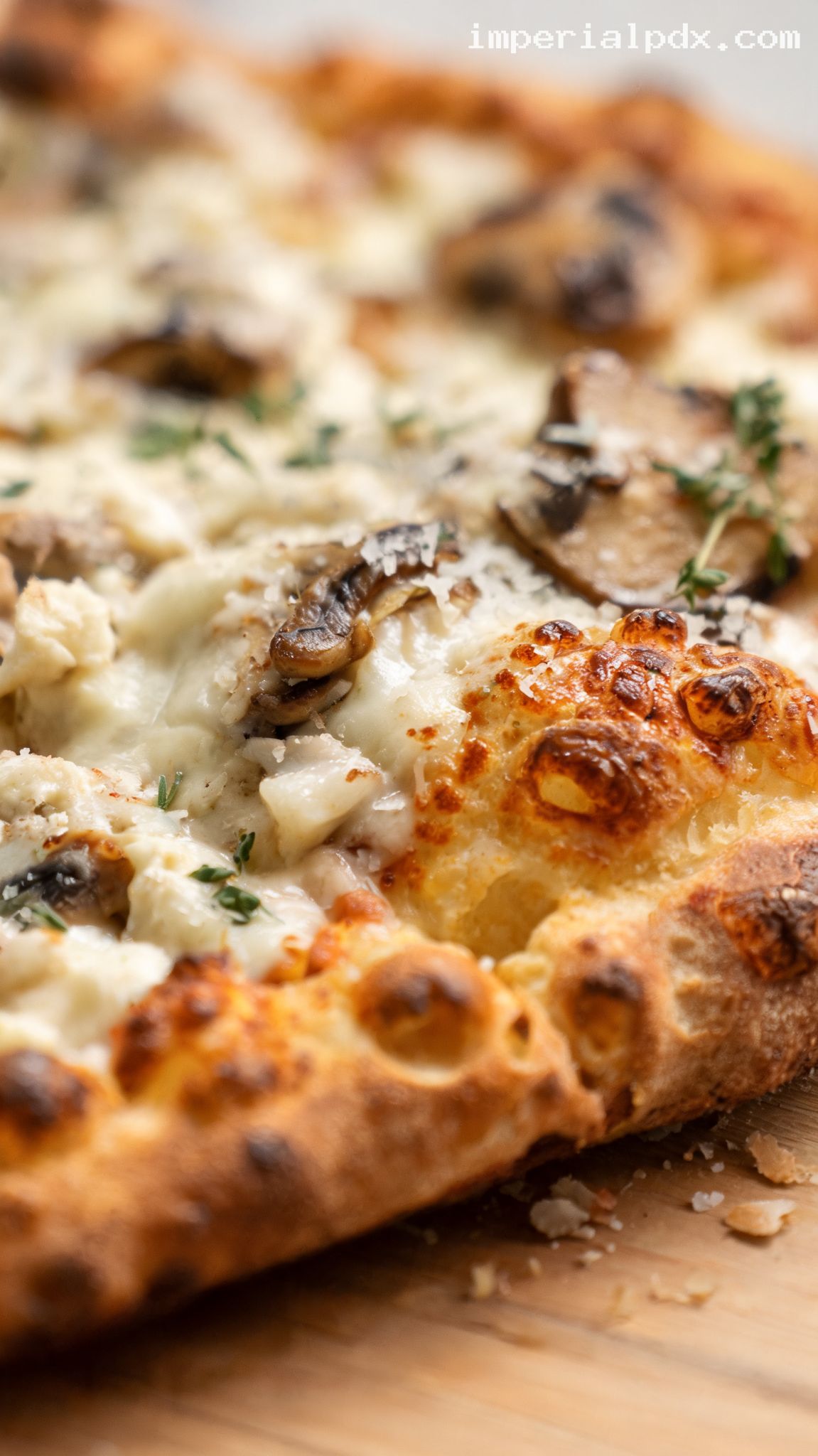 Roasted Garlic and Mushroom White Pizza – Closeup