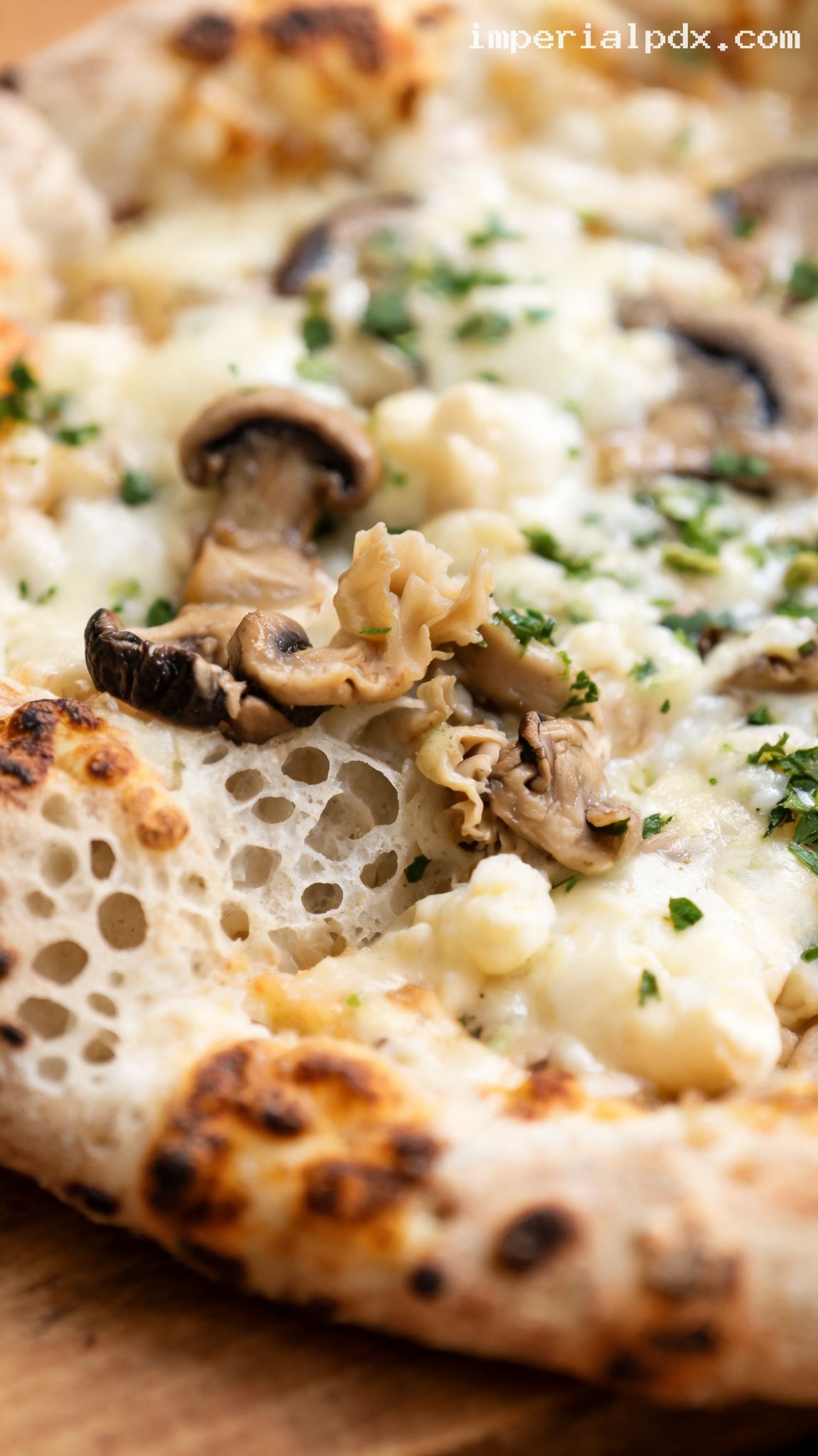 Three-Mushroom & Taleggio Pizza – Closeup