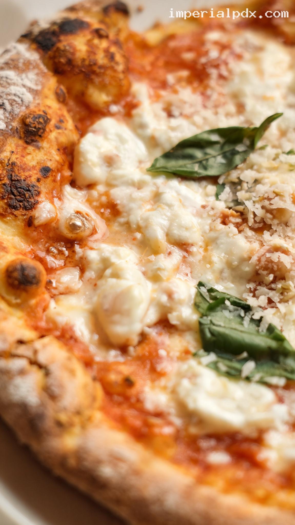 Vodka Sauce Pizza With Fresh Mozzarella – Closeup