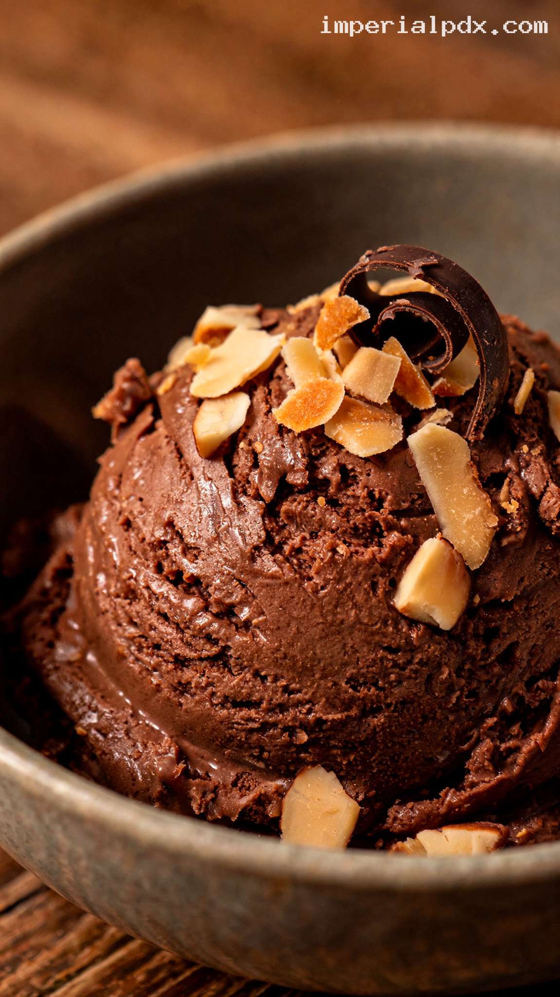 Chocolate Coconut Almond Ice Cream – Closeup