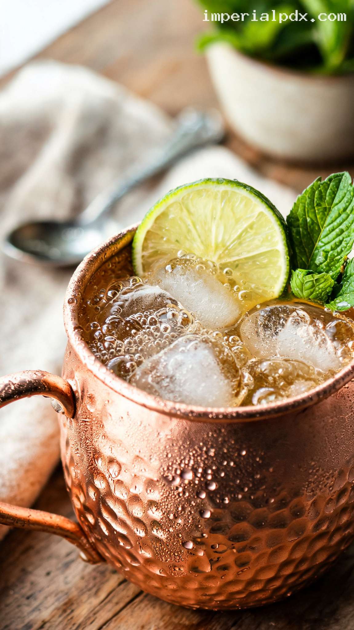 Classic Moscow Mule with Ginger Beer and Lime – Closeup