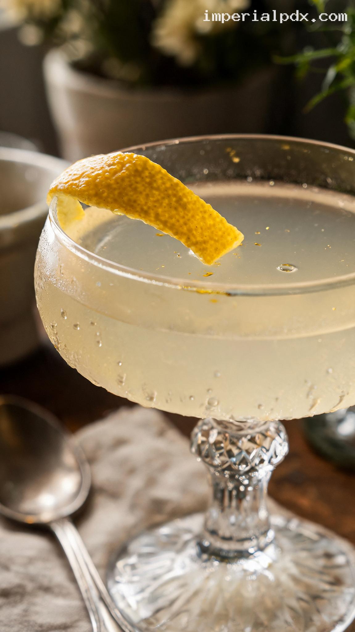 Tuxedo No. 2 Gin and Vermouth Cocktail – Closeup